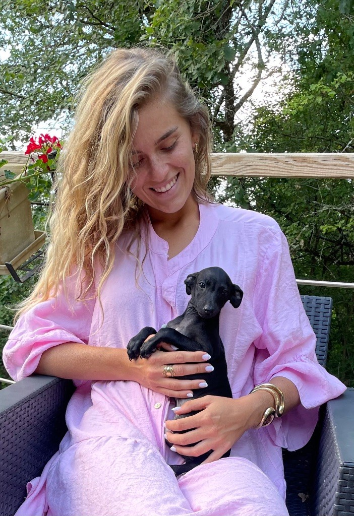 Chiot Petit Levrier Italien du domaine de Peyrazet
